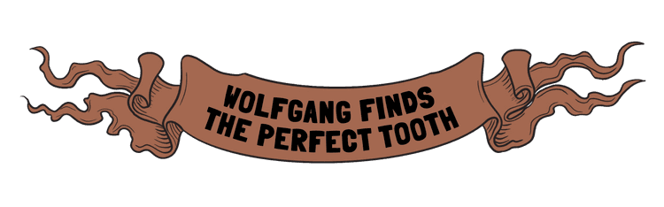Wolfgang Finds the Perfect Tooth